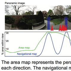 Computational Visual Cognition Lab